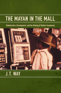 Imagen de portada: The Mayan in the Mall 9780822351207
