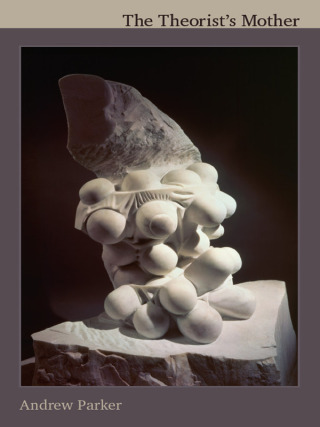 Cover image: The Theorist's Mother 9780822352327