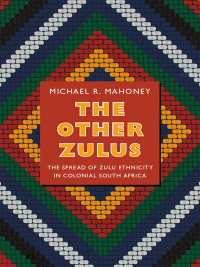 Cover image: The Other Zulus 9780822352952