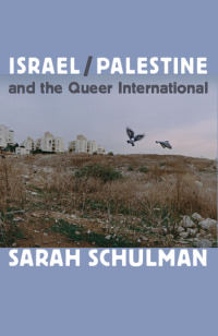 Omslagafbeelding: Israel/Palestine and the Queer International 9780822353737