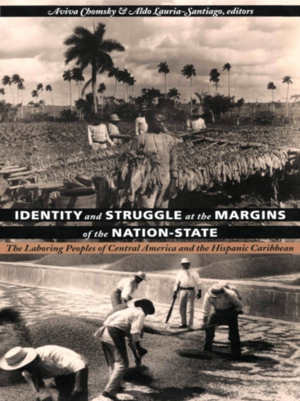 Identity and Struggle at the Margins of the Nation-State (eBook) - Aviva Chomsky,