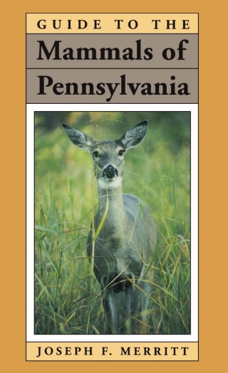 表紙画像: Guide to the Mammals of Pennsylvania 9780822953937