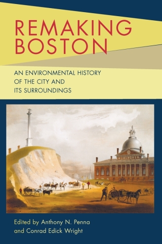 Imagen de portada: Remaking Boston 9780822963011
