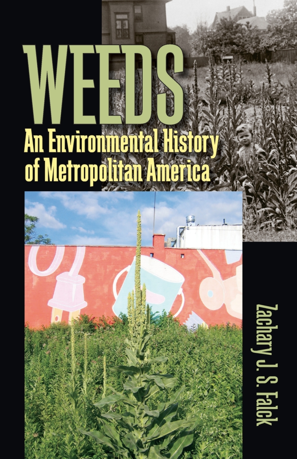 Weeds eBook