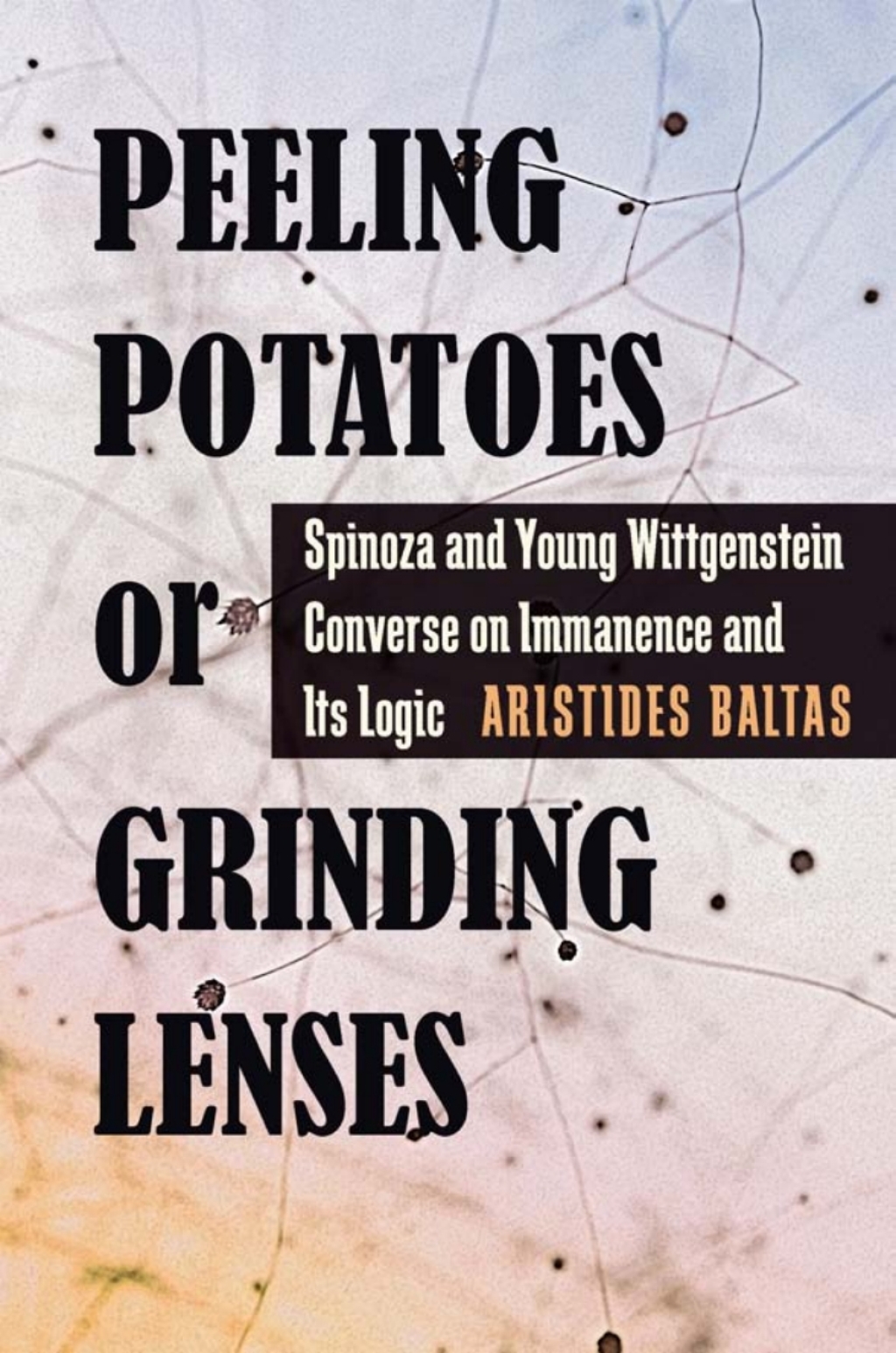 Peeling Potatoes or Grinding Lenses Spinoza and Young Wittgenstein Converse on Immanence and Its Logic