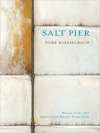 Cover image: Salt Pier 9780822962175