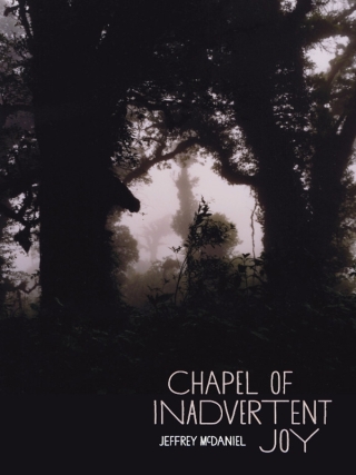 Cover image: Chapel of Inadvertent Joy 9780822962601