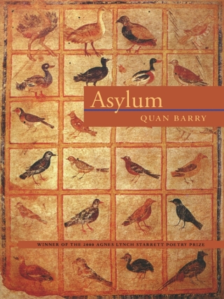 Imagen de portada: Asylum 9780822957690