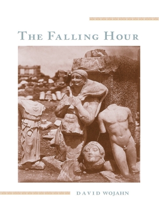 Imagen de portada: The Falling Hour 9780822939955