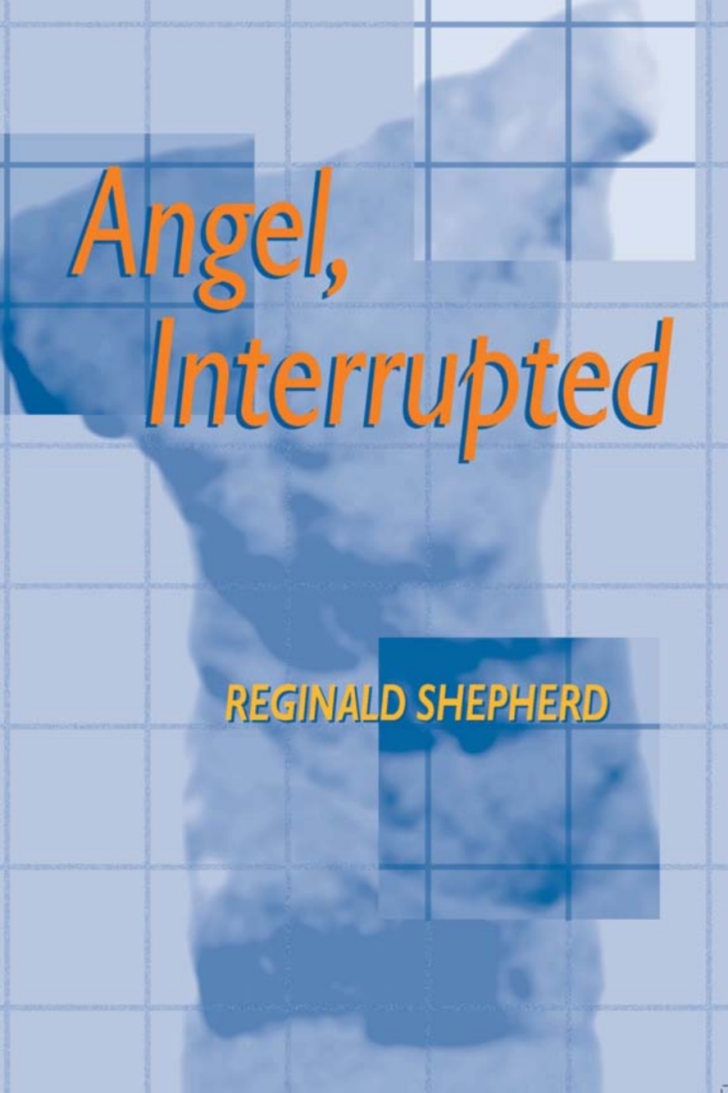 ISBN 9780822939603