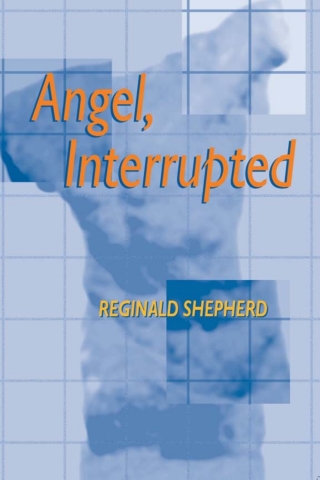 Immagine di copertina: Angel, Interrupted 9780822939603
