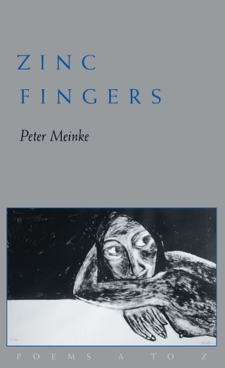 Cover image: Zinc Fingers 9780822957249