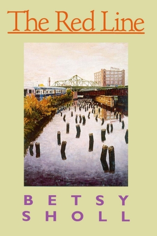 Cover image: The Red Line 9780822954828