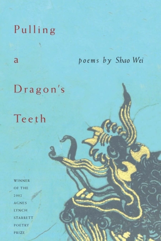 Cover image: Pulling A Dragon's Teeth 9780822958352