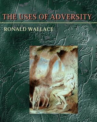 Imagen de portada: The Uses of Adversity 9780822956716