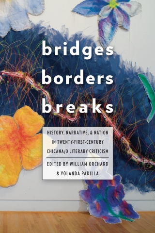 表紙画像: Bridges, Borders, and Breaks 9780822964148