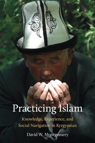 Imagen de portada: Practicing Islam 9780822964285