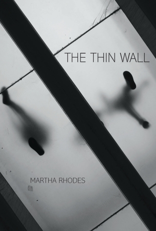Imagen de portada: The Thin Wall 9780822964537