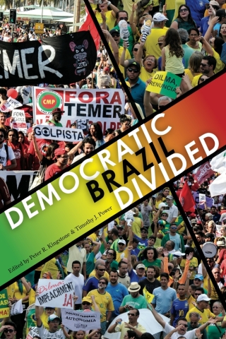 Imagen de portada: Democratic Brazil Divided 9780822964919
