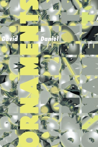 Imagen de portada: Ornaments 9780822965183