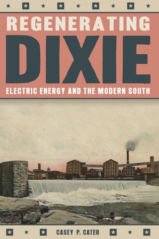 Cover image: Regenerating Dixie 9780822945642