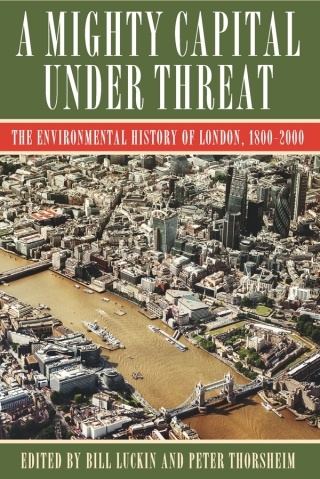 Imagen de portada: A Mighty Capital under Threat 9780822946106