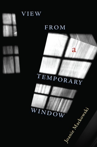 Imagen de portada: View from a Temporary Window 9780822960553