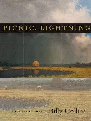 صورة الغلاف: Picnic, Lightning 9780822956709
