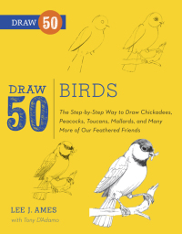 Cover image: Draw 50 Birds 9780823085989