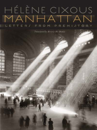 Omslagafbeelding: Manhattan 1st edition 9780823227754