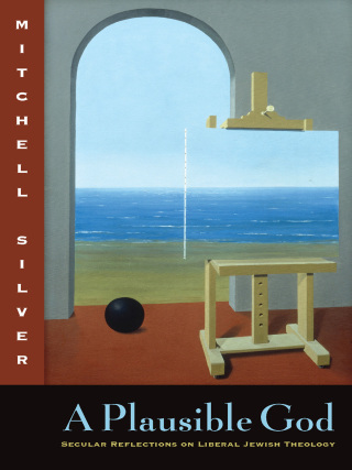 Imagen de portada: A Plausible God 9780823226825