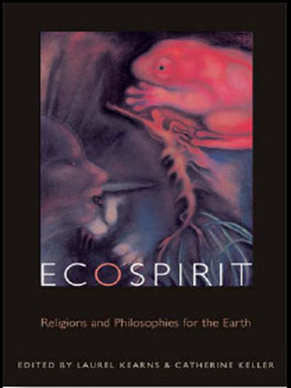 Imagen de portada: Ecospirit 9780823237593