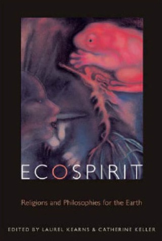 Imagen de portada: Ecospirit 9780823227457