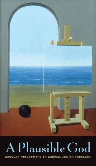 Imagen de portada: A Plausible God 9780823226825