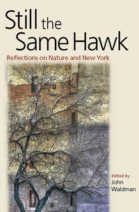 Cover image: Still the Same Hawk 9780823249893