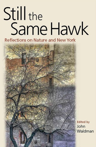 Imagen de portada: Still the Same Hawk 9780823249893