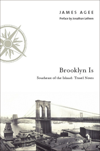 صورة الغلاف: Brooklyn Is 1st edition 9780823224920