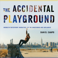 Cover image: The Accidental Playground 9780823251865