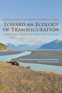 صورة الغلاف: Toward an Ecology of Transfiguration 9780823251445