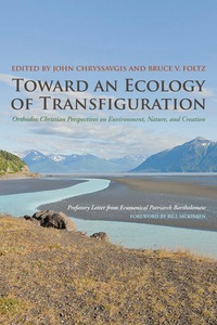 Imagen de portada: Toward an Ecology of Transfiguration 9780823251445