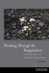 Cover image: Thinking Through the Imagination 1st edition 9780823254934