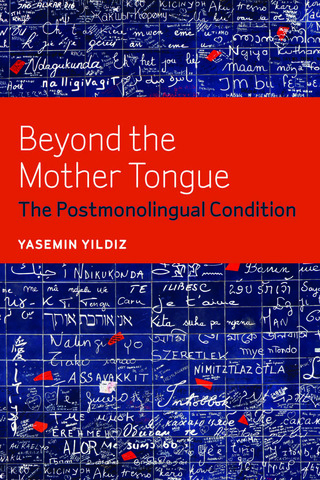 Titelbild: Beyond the Mother Tongue 9780823255757