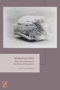 Imagen de portada: Modernity's Mist 9780823267965