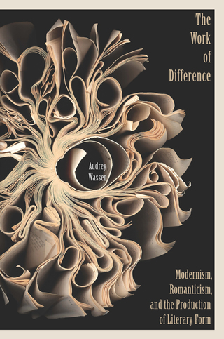 Cover image: The Work of Difference 9780823270057