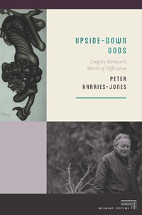 Cover image: Upside-Down Gods 9780823270354
