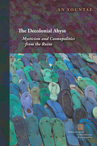 Cover image: The Decolonial Abyss 9780823273072