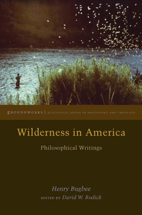 Imagen de portada: Wilderness in America 9780823275359