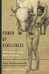 Omslagafbeelding: Power of Gentleness 1st edition 9780823279609