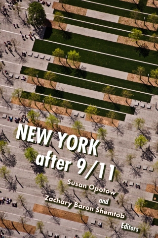Cover image: New York After 9/11 1st edition 9780823281282