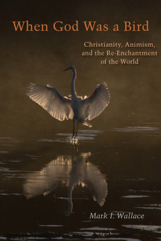 Imagen de portada: When God Was a Bird 1st edition 9780823281312